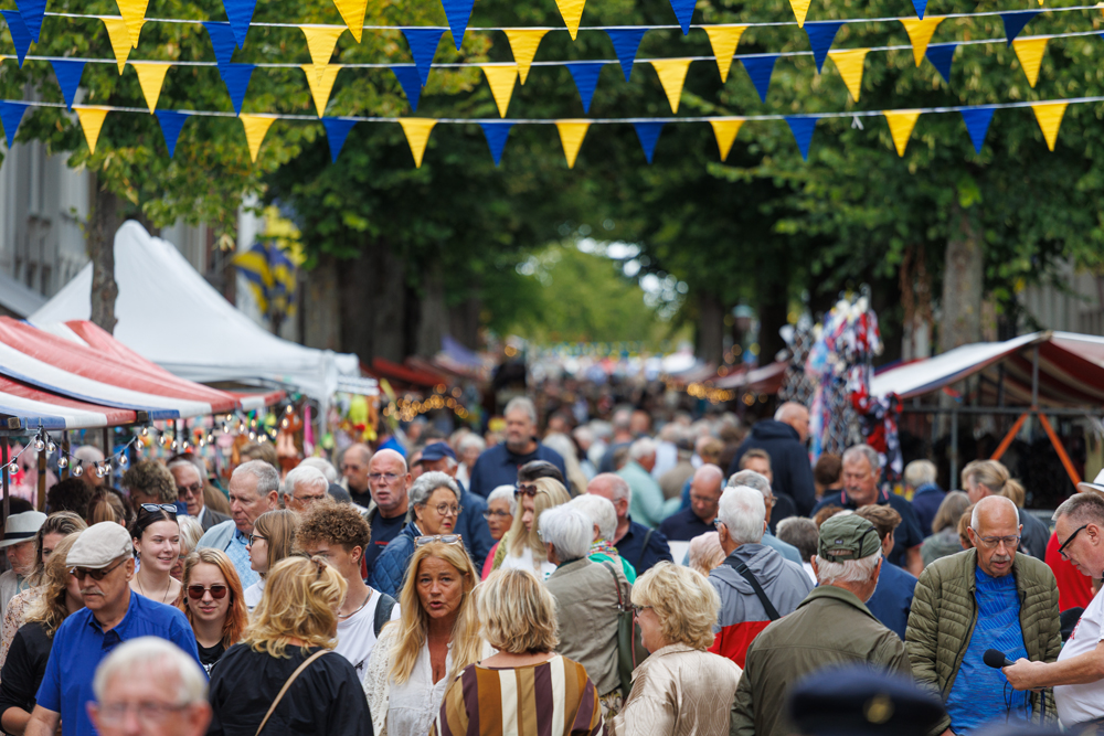AfbeeldingSommelsdijkse Dorpsraad